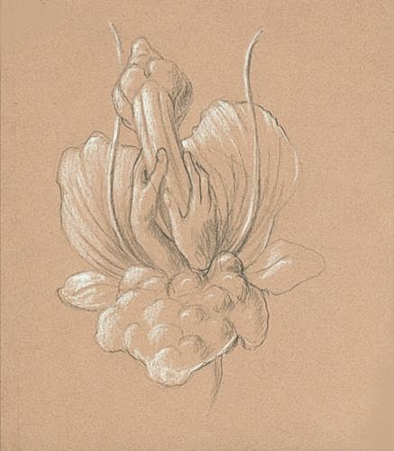 SKETCH SKETCH